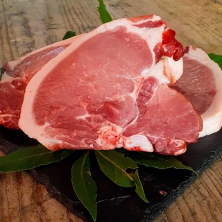 Biatecchine di Suino